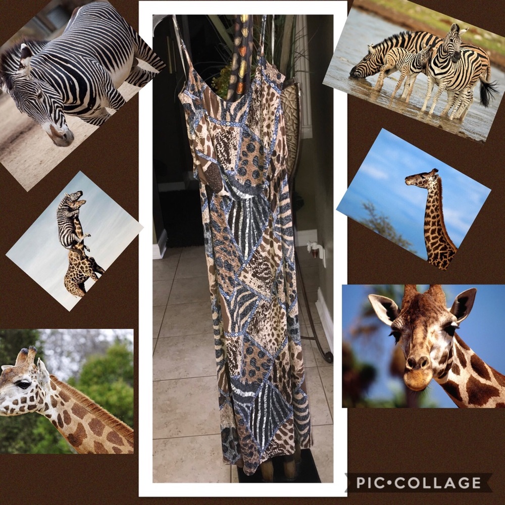 Animal Print Maxi